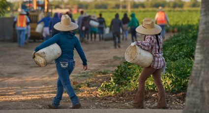 Más de 1.2 millones de migrantes han dejado la fuerza laboral durante los primeros siete meses del gobierno de Trump