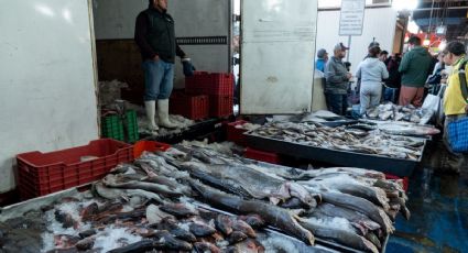 Muere empleado de la empresa CYCSA en trabajos para CFE en la Nueva Viga