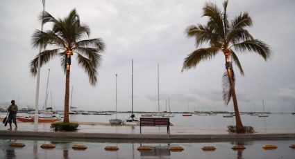 Tormenta tropical "Mario" se reactiva frente a Baja California Sur; provocará lluvias fuertes