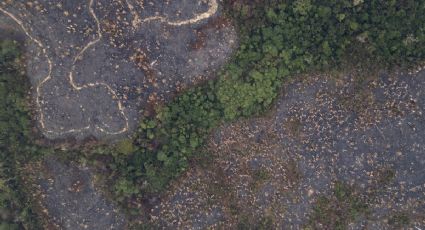 La deforestación es la principal responsable de la reducción de las lluvias en la Amazonía en época de secas