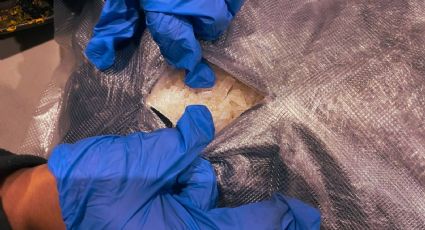 Policía de Sudáfrica arresta a cinco sujetos de un país norteamericano que operaban un laboratorio de metanfetamina