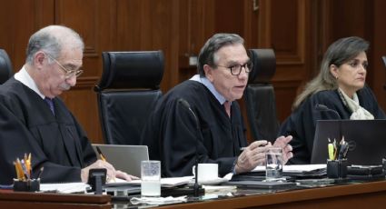 Nuevo criterio de la Corte sobre consultas a personas con discapacidad es "postura regresiva", dice Laynez Potisek