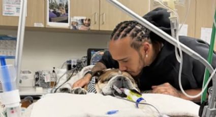 Lewis Hamilton no asiste a prueba de neumáticos debido a que su perro ‘Roscoe’ está en coma y pide oraciones por él: “No sabemos si despertará”