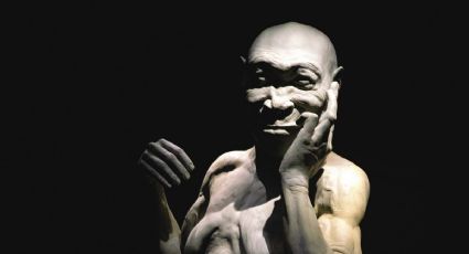 En una revisión de su pasado colonial, Países Bajos regresará a Indonesia más de 28 mil fósiles