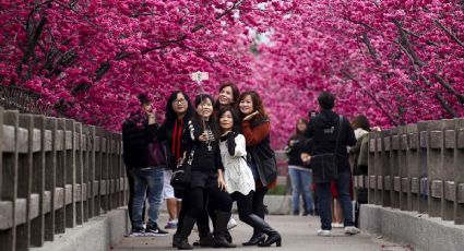 El mundo puede tener un turismo sostenible que conjunte crecimiento económico e inclusividad: ONU