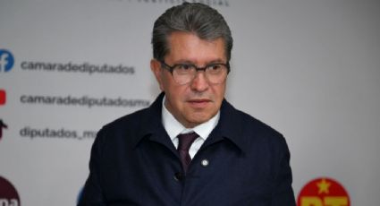 “El presupuesto no ajusta para tanta necesidad que tiene el país”, asegura Morena