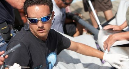 Tiburón de cuatro metros ataca en Costa Rica al biólogo marino mexicano Mauricio Hoyos