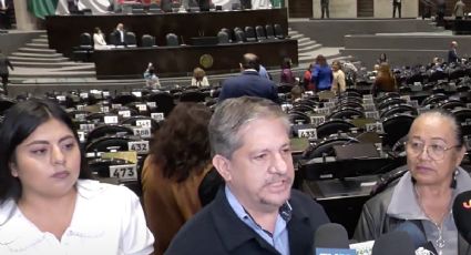 Diputados de Morena declinan formar parte del grupo de amistad México-Israel