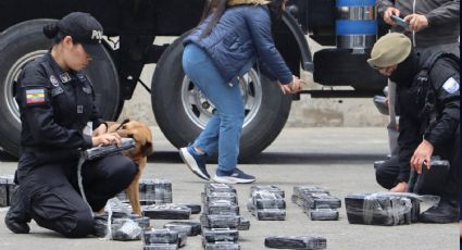 Decomisan casi 300 kilos de cocaína que iban a ser enviados a México desde Ecuador