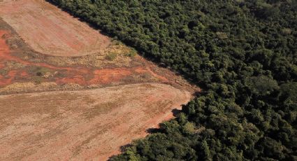 Incendios en la Amazonía de Brasil se redujeron en 2025 a su menor nivel en 28 años