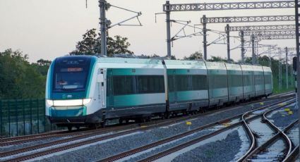 Gobierno federal expropia terrenos en Yucatán, Quintana Roo y Campeche para obras del Tren Maya