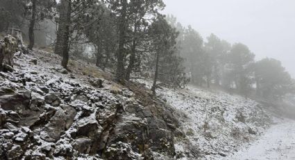 Cae nieve en México: zonas altas en Galeana, Nuevo León, se pintan de blanco