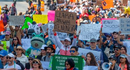 "El metro cuadrado se cotiza en vida animal": activistas protestan en CDMX en defensa del Refugio Franciscano
