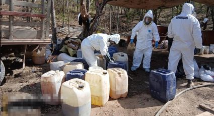 Desmantelan tres laboratorios clandestinos en México; aseguran 700 kilos de drogas y 12 mil litros de precursores