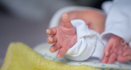 Francia registra más muertes que nacimientos en 2025, la primera vez desde la Segunda Guerra Mundial