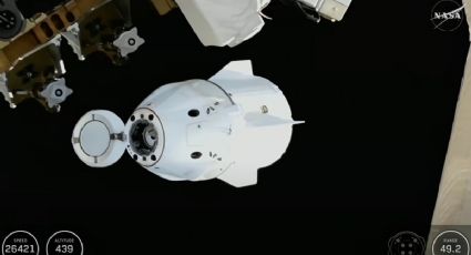 La misión Crew-11 llegará a la Tierra con un tripulante enfermo a las 2:41 de la madrugada del jueves