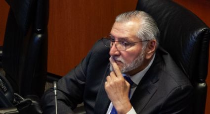 Adán Augusto, hasta en el café: Senado compra el grano a empresa cercana al coordinador de Morena