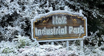 Cae nieve por segundo año consecutivo en Florida y el sur de Georgia