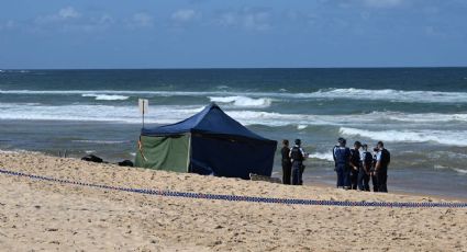 Niño de 12 años se encuentra en estado crítico tras ser atacado por un tiburón toro en Sídney