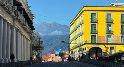 Zonas en Veracruz perciben "fuerte" el sismo de magnitud de 6.5; descartan afectaciones