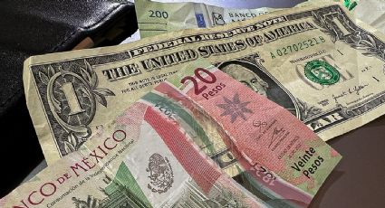 Caen más del 5% las remesas recibidas en México entre enero y noviembre de 2025: Banxico