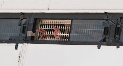 Flotilla con mexicanos que intentó ingresar a Gaza exige investigar presuntos abusos sexuales de policías en Israel contra sus integrantes