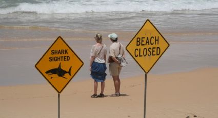 Los cuatro ataques de tiburón en menos de 48 horas y su relación con el cambio climático en Australia