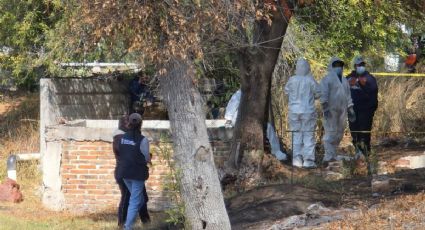 Encuentran restos de al menos cinco personas en una fosa clandestina en Guanajuato