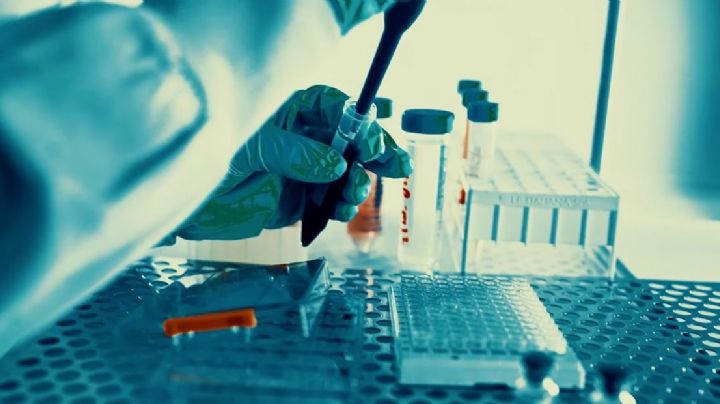 Con la 4T aumentaron 50% los contagios de VIH a la par del desabasto de medicamentos para controlarlos