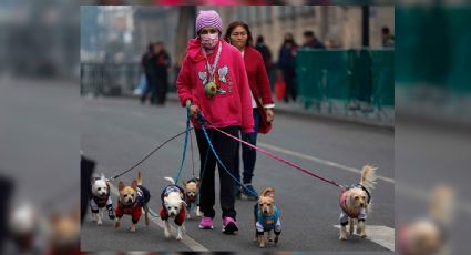 Activan doble alerta por frío en CDMX; prevén temperaturas de hasta un grado