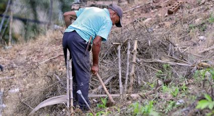 Asesinan a más de 100 defensores ambientalistas en Honduras desde 2015