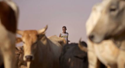 Enfrentamientos por robo de ganado en Sudán del Sur dejan al menos 12 personas muertas