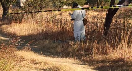 Hallan los cuerpos de 13 personas en una fosa clandestina en terrenos de cultivo de Villagrán