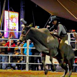 ¡Escalofriante! Jinete resulta herido de gravedad al quedar atorado en el toro en un megajaripeo celebrado en Puebla