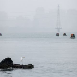 Desaparece caza en Taiwán: Fuerza Aérea asegura que se debió a un fallo en la computadora