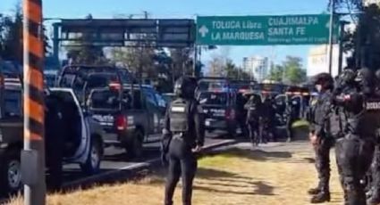 Autoridades de la CDMX catean el Refugio Franciscano; gobierno acusa maltrato animal y anuncia el resguardo de los ejemplares 