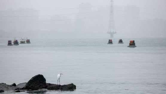 Desaparece caza en Taiwán: Fuerza Aérea asegura que se debió a un fallo en la computadora