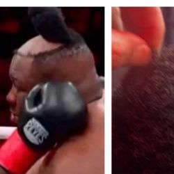 Boxeador al que se le cayó su peluquín en plena pelea por un golpe lo lanzó al público; el presidente del CMB dice que "lo encontró"