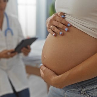 Diputada rusa propone prohibir sitios porno a hombres sin hijos para incrementar tasa de natalidad