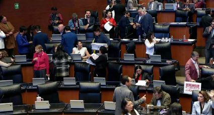 Arranca la discusión en el Senado sobre la reforma para reducir la jornada laboral a 40 horas 