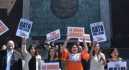 "Gato por liebre o simulación”, dice MC en Diputados sobre reducción de la jornada laboral a 40 horas semanales