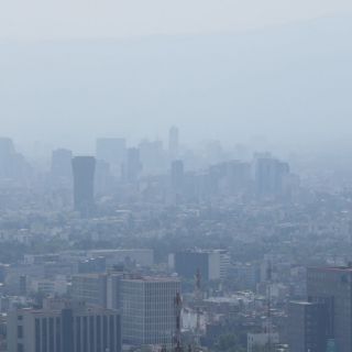 Se queda la contingencia ambiental para el Día del Amor y la Amistad