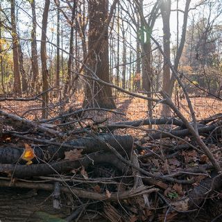 Florida en alerta máxima: la sequía extrema ya afecta a 18 millones de personas