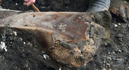 Hallazgo histórico en Costa Rica: descubren fósiles de perezoso y mastodonte gigantes