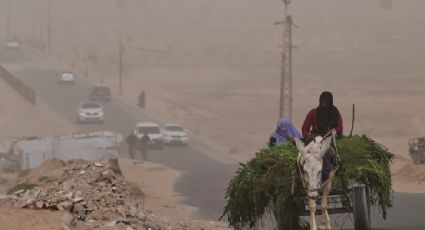 Médicos Sin Fronteras frena labores en Gaza por avistamientos de enmascarados armados