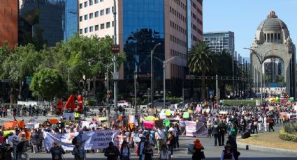 "No es rescate, fue una masacre": marchan en CDMX para exigir el regreso de los ejemplares al Refugio Franciscano