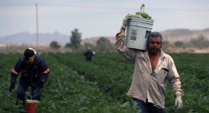 Agricultores acusan baja producción en México y más dependencia de extranjeros por falta de presupuesto