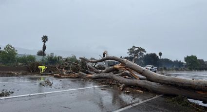 "El invierno demuestra que aún no ha terminado": California es azotada por una intensa tormenta