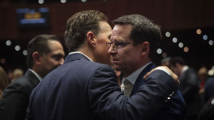 Sin consenso sobre reforma electoral, reporta PVEM; PAN presenta propuesta