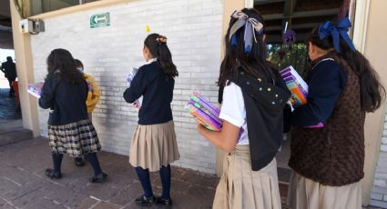 “Esto va más allá de los libros de texto”: expertas consideran que habría que replantear el sistema educativo